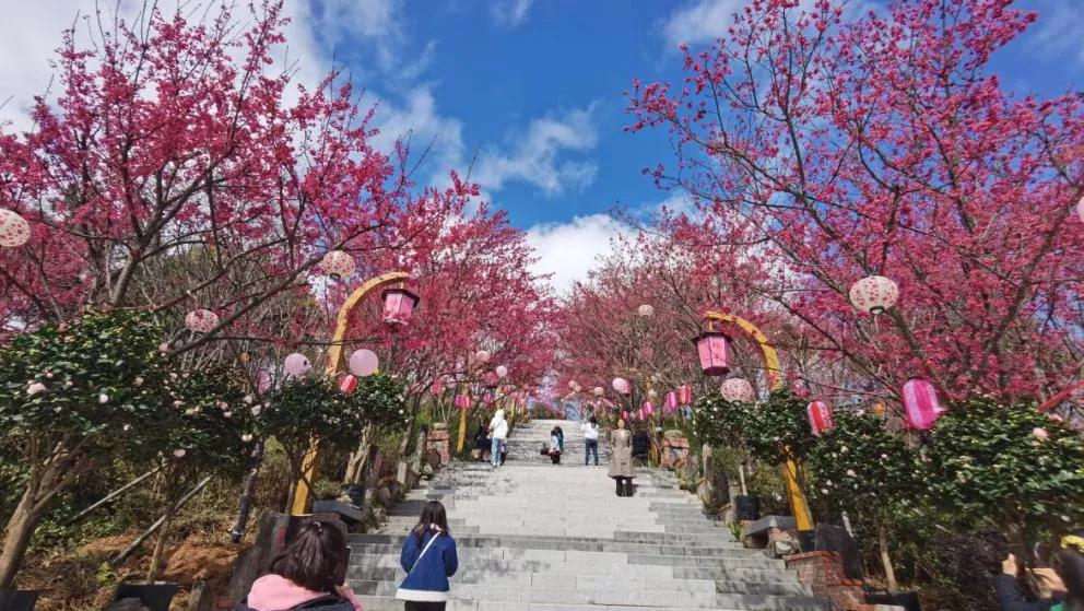 164327684192122437.jpg 微信图片_20220127174629.jpg