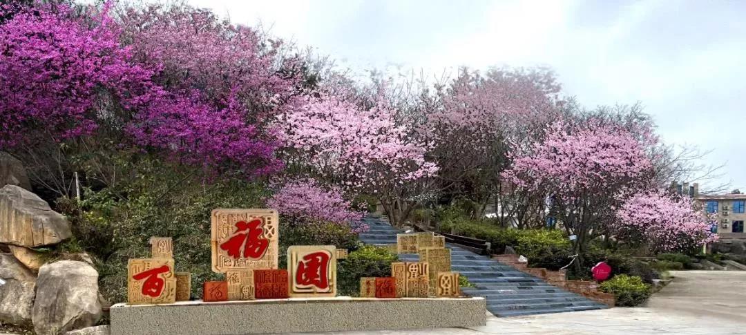 164327687149030411.jpg 微信图片_20220127174634.jpg