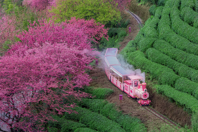 167628084676415837.png 微信图片_20230213172829_副本.png