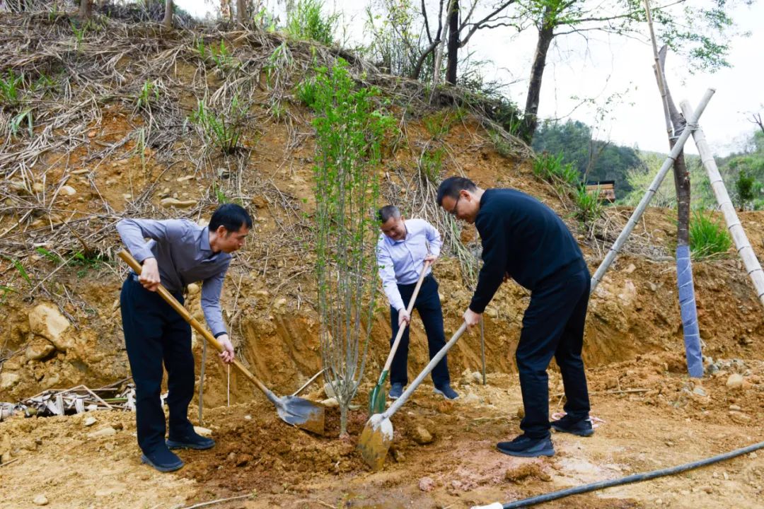 167885253999360383.jpg 微信图片_20230315115515.jpg