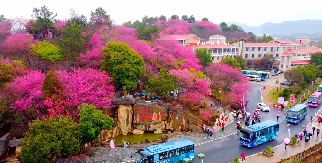 170833424959095545.jpg 640 (2).jpg