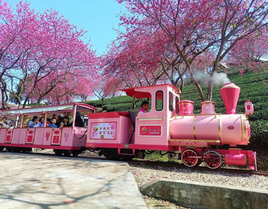 170963144014088174.jpg 640 (4).jpg