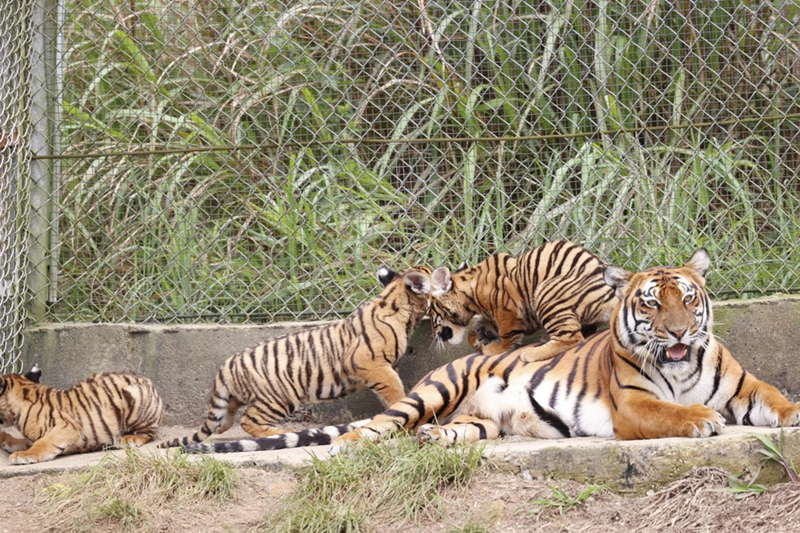 172232958712199079.png 图片11_副本.png