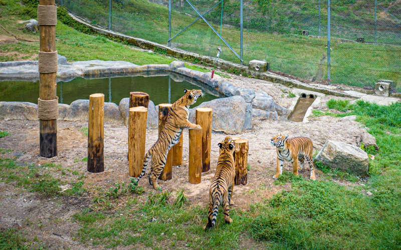 172232963211779089.png 图片2_副本.png