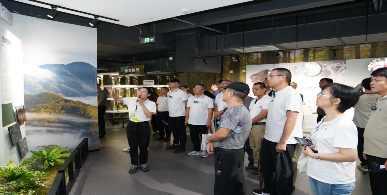 172423251839937796.png 图片3.png