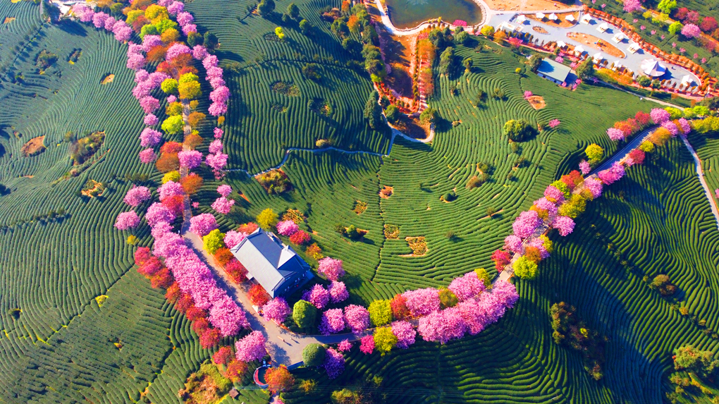 172423264710266092.png 图片2_副本.png