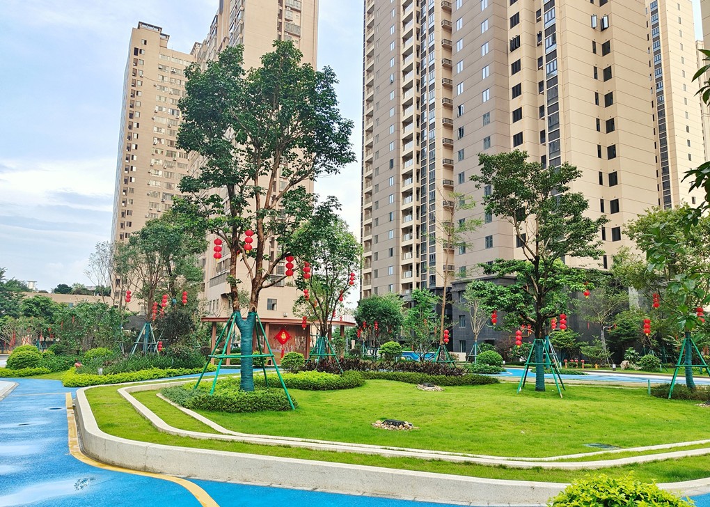 172437341496494466.jpg 图片3_副本.jpg