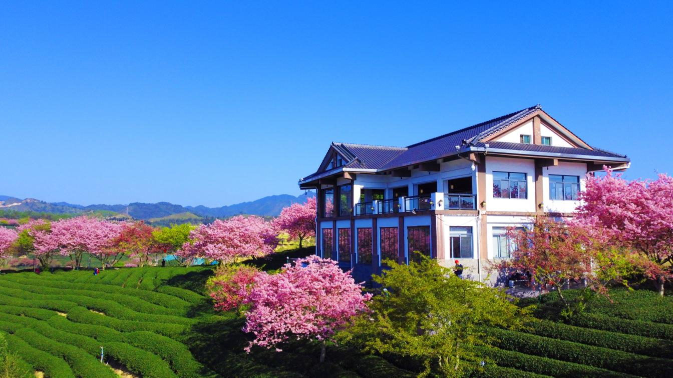 173433974880019885.png 图片1.png