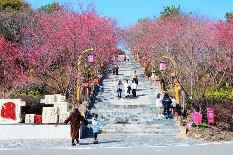 173874408052641707.png 图片2_副本.png