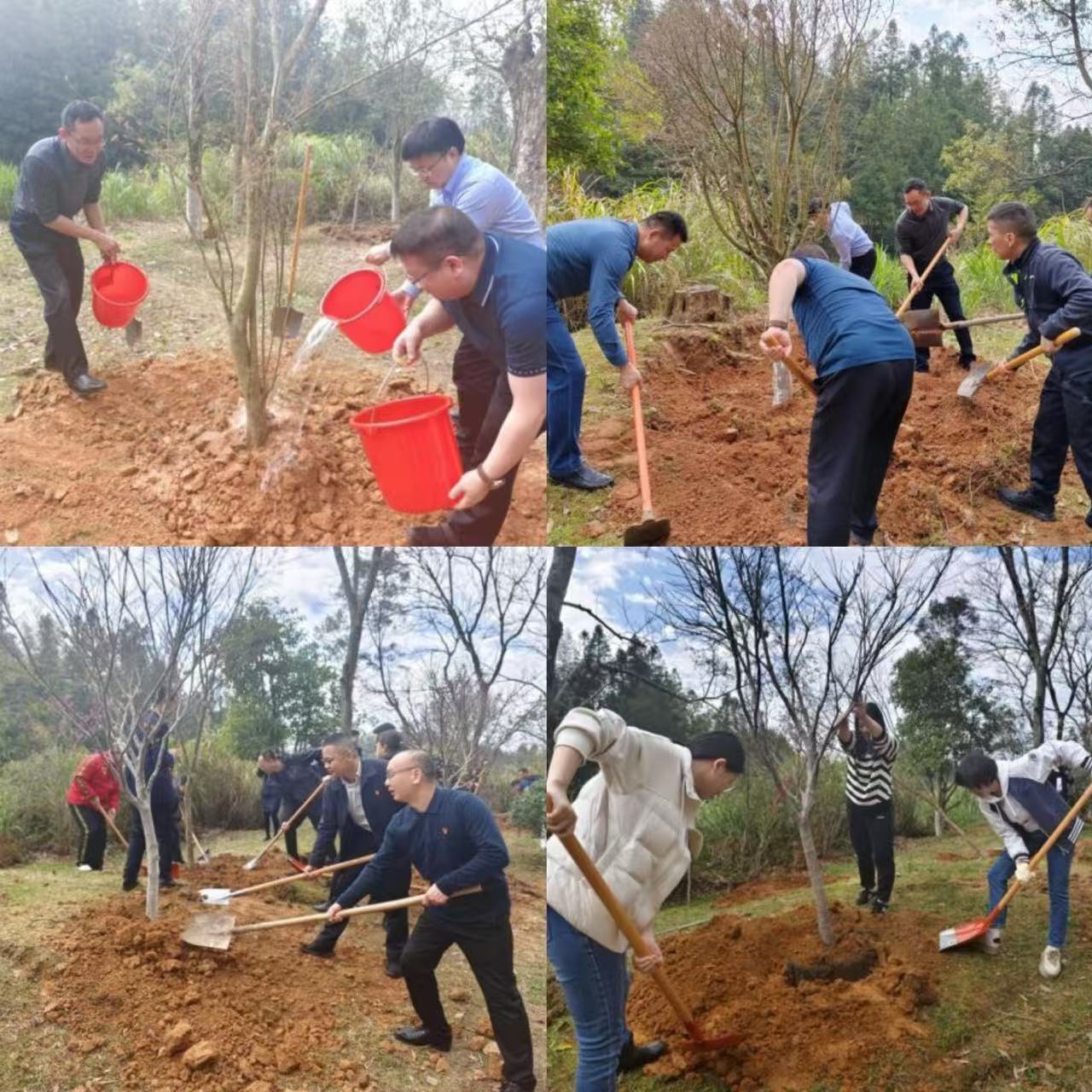 174168793845172478.jpg 图片2.jpg