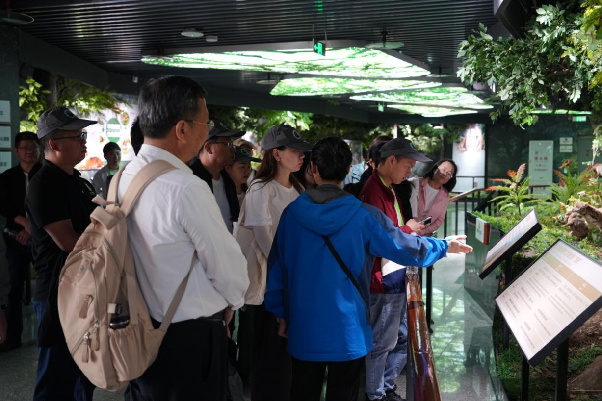 174340990662767668.png 图片2.png