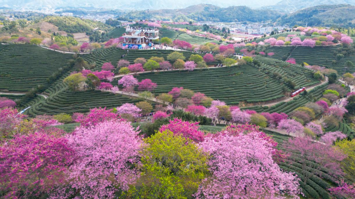 174971772726525473.png 图片2.png