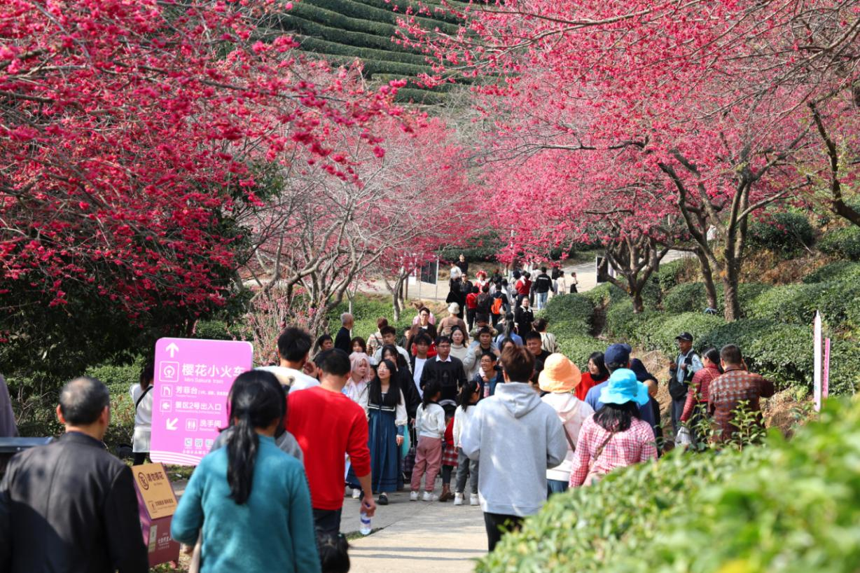 174971773937977518.png 图片3.png